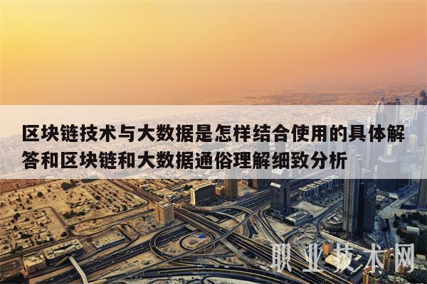 区块链的大数据技术(区块链大数据是什么意思)